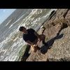 mattgomez016
